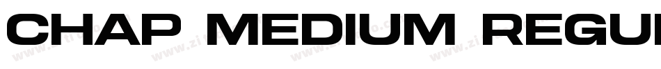 Chap Medium Regular字体转换